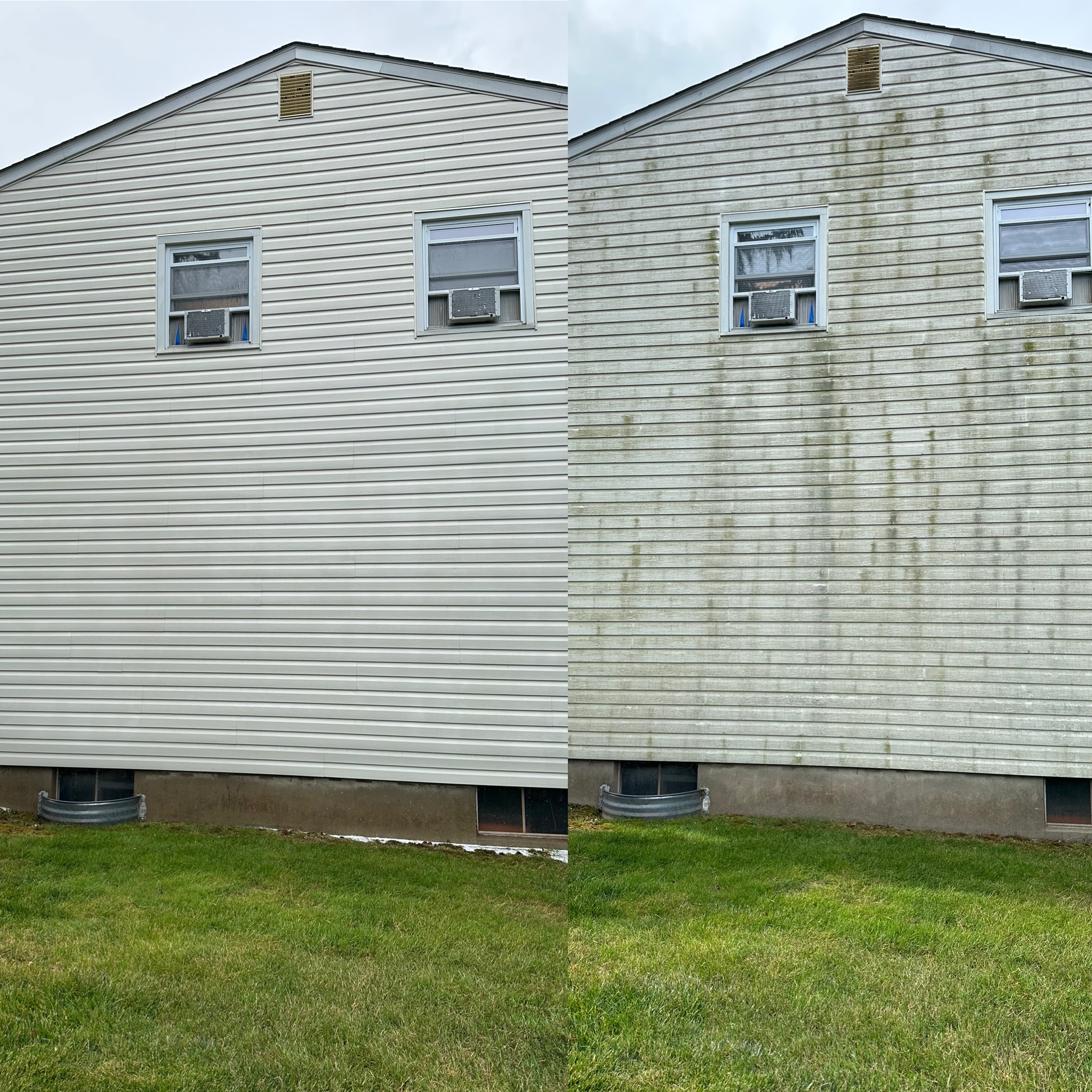 Siding Cleaning
